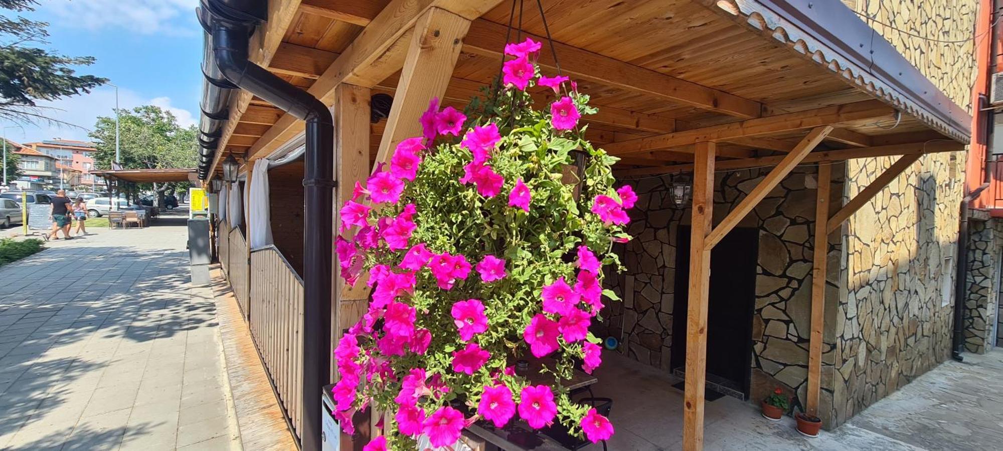 Sineva Guest House Равда Экстерьер фото